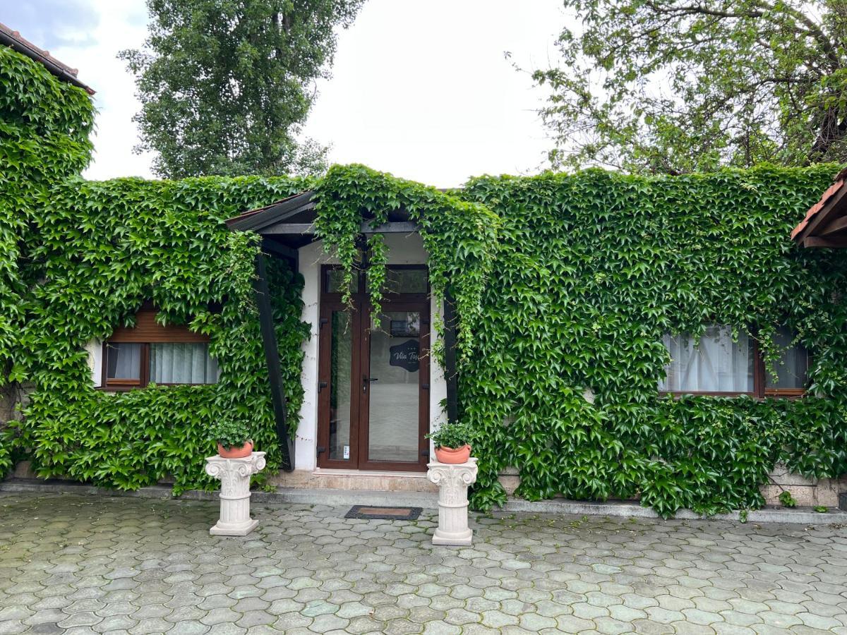 Vila Toscana Тимишоара Екстериор снимка